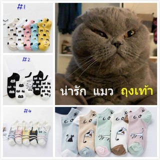 kitten short sock 1เแพ็ค 5สี 5วัน ถุงเท้าแมว งานเกรด A