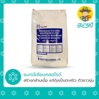 แมกนีเซียมคลอไรด์ Magnesium Chloride อิสราเอล 1 กก แก้กุ้งเป็นตะคริว ตัวขาวขุ่น แร่ธาตุแมกนีเซียม สบายดีซัพพลายแอนด์โค