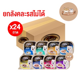 (ยกกล่อง) Cesar ซีซาร์ อาหารเปียกสุนัข แบบถาด มีครบทุกรส 100 g (กล่อง = 24 ถาด)