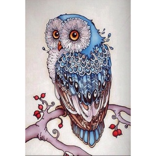 Blue Owl  ครอสติส คริสตัล