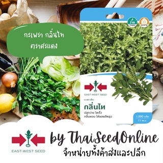 GGEW เมล็ดพันธุ์ซฟ กะเพรากลิ่นไท 1000 เมล็ด ตราศรแดง Holy Basil