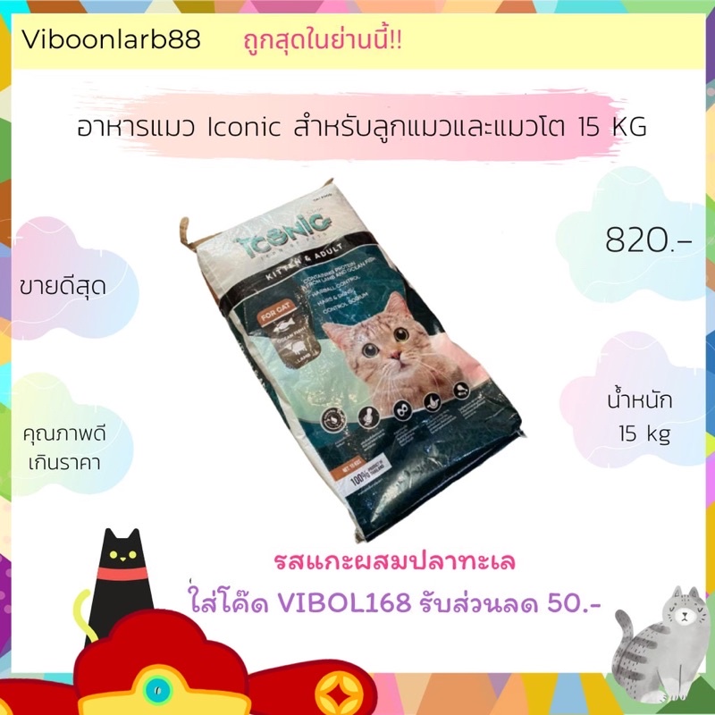 ������������������������������������������������