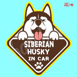 สติ๊กเกอร์ติดรถยนต์ DIC46 สติ๊กเกอร์ ติดรถ Siberian Husky Dog In Car สติ๊กเกอร์ติดรถ car sticker