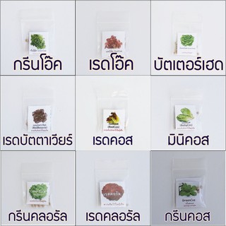 เมล็ดพันธุ์ผักสลัด แบบเคลือบ 9 ชนิด สุดคุ้ม