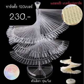 ชาร์ตโชว์สี 120สี แถมฟรีเบอร์แปะ