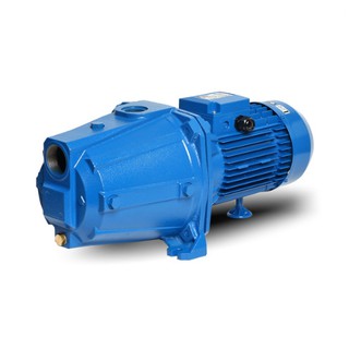 ปั๊มน้ำ หอยโข่ง ล่อน้ำ ยี่ห้อ EBA รุ่น AGA-3.00T มอเตอร์ 3HP 3 สาย ท่อ 1-1/2 x 1 นิ้ว ส่งสูง 42 - 68 เมตร