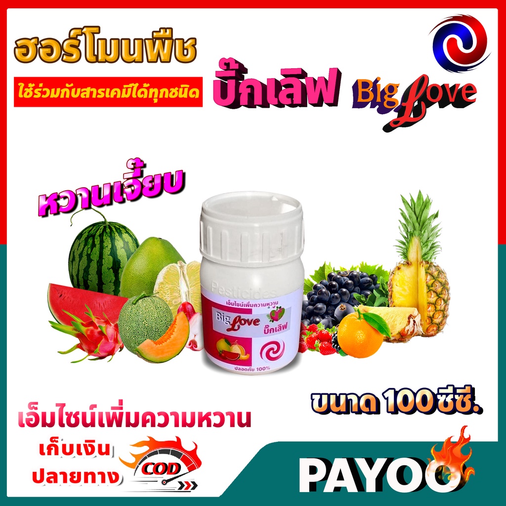 ลด 50% ใส่โค้ด INC8LZ3 บิ๊กเลิฟ หวานเจี๊ยบ ฮอร์โมนเร่งหวาน ฮอร์โมนพืช ปุ๋ยน้ำ อาหารเสริมพืช ขนาด 100 ซีซี.