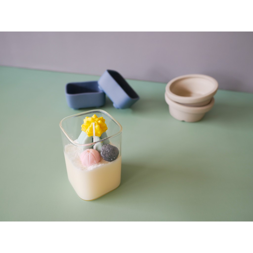 Soy Wax Candle : Pastel Colored Cactus in Square Glass