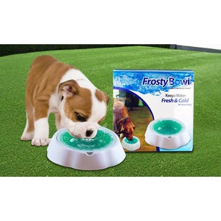 Frosty Bowl Chilled Pet Water Bowl ชามเจลเย็นสำหรับสัตว์เลี้ยง