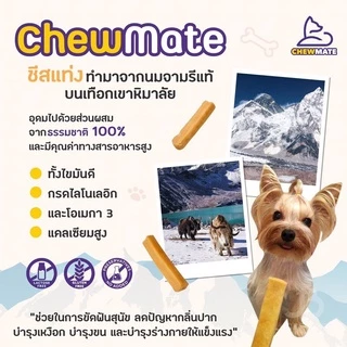 [PETClub] Chewmate - Himalayan ขนมชีสแท่งขัดฟันเกรดพรีเมี่ยมจากนมจามรี (20g.&90g.)
