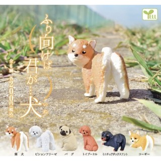 🅟🅕 กาชาปองน้องหมาหลากหลายสายพันธ์ุ เซต If you pretend to be a dog inu gashapon