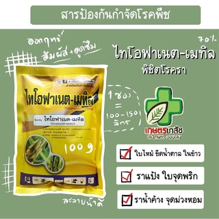 ไทโอฟาเนต เมทิล 100 กรัม กำจัดใบไหม้ ราแป้ง ใบจุด