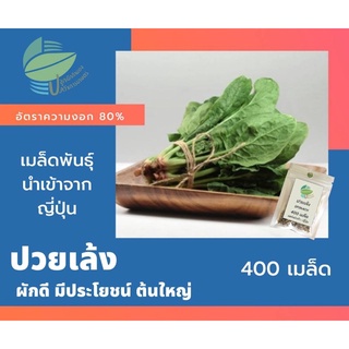 เมล็ดปวยเล้ง 400 เมล็ด นำเข้าจากญี่ปุ่น