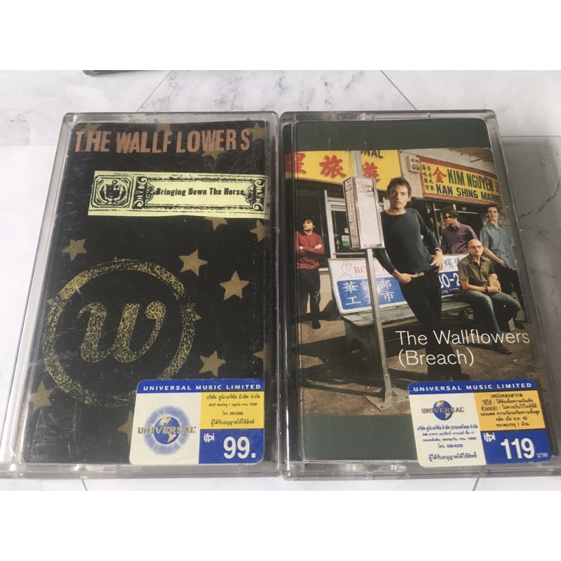 The Wallflowers เทปคาสเซ็ท