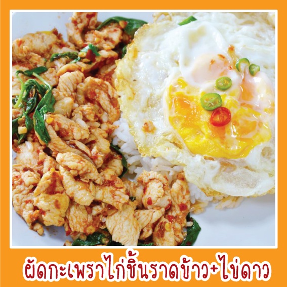 สติ๊กเกอร์ ภาพ ผัดกะเพราไก่ชิ้นราดข้าว+ไข่ดาว รูปอาหาร ขนาด 20x20 ซม. กันน้ำ เมนูอาหาร ตามสั่ง menu  สีสดใส ดูน่าทาน