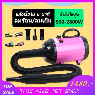 ไดร์เป่าขนหมา 2800W ไดร์เป่าขนสัตว์ ไดร์ขนหมา เสียงเบา มีประกัน  เครื่องเป่าขน ไดร์ไล่น้ำ ไดร์เป่าขนสัตว์ ไดร์สุนัข ไดร์