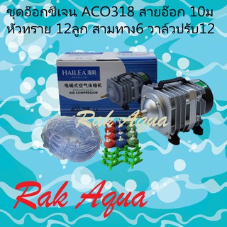 ปั้มอ๊อกซิเจนHAILEA ACO-318 ปั้มลมลูกสูบ ครบชุดพร้อมสายอ๊อก 10 เมตร รวมหัวทราย 12 ลูก(คละสี) สามทาง6 ตัว วาล์วปรับแรงลม1