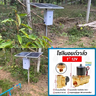 ระบบรถน้ำต้นไม้ โซลินอยด์วาล์ว 12v ระบบโซล่าเซลล์ ตั้งเวลาทำงานอัตโนมัติชุดคอนโทรล พร้อมแบตเตอรี่แผงโซล่าเซลล์