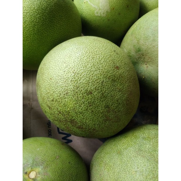 ส้มโอหวานพันธุ์ขาวแตงกวารสหวานอร่อยปลอดสารพิษ100%ก.กละ30บาท