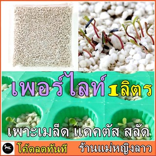 1ลิตรเพอร์ไลท์ วัสดุปลูก เพาะ แคตตัส ต้นไม้ ไม้อวบน้ำ perliteเพอไลท์ เวอร์มิคูไลท์ vermicylite สลัด เมล็ดพันธ์ุไฮโดรุ167