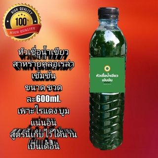 น้ำเขียวสาหร่ายคลอเรล่า ขนาด600ml. เพาะขยายไรแดงบูมแน่นอน