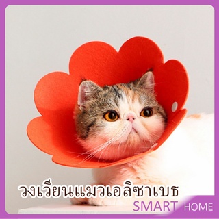 คอลล่าสุนัข  คอลล่าแมว ปลอกคอดอกไม้ ปลอกคอกันเลีย  Cat coll