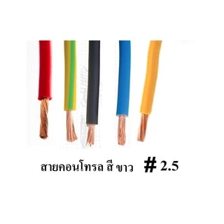 สายไฟเดี่ยวทองแดงแท้ 2.5 sq.mm สายคอนโทรล VSF 1x2.5 SQ.MM ความยาว 10 เมตร ใช้กับไฟ 12V - 220V ได้