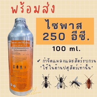 ไซพาส 250 อีซี. Cypas ขวดเล็ก ขนาด (100ml) ‼️พร้อมส่งทันที‼️ ของแท้ 💯% กำจัดแมลง ยุง แมลงสาบ แมลงวัน พ่นยุง