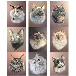 5D DIY Diamond Painting Cat Diamond Embroidery Animal Cross Stitch Scenery  Home Decor Gift