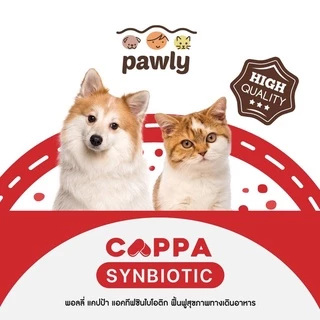 Pawly Cappa (สำหรับแมว) ดูแลลำไส้ เสริมภูมิ ขับถ่ายดี ลดกลิ่นมูล - [1กระปุก - 30แคปซูล]