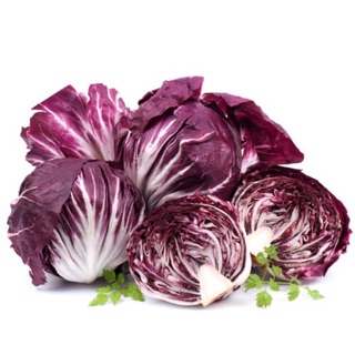 แรดิชิโอพัลล่าโรสซ่า Radicchio Palla Rossa