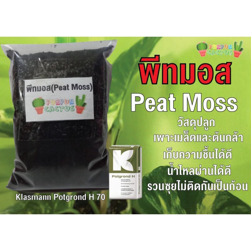 พีทมอสคลาสแมน PEAT MOSs ใช้เพาะเมล็ด ใช้ปลูกต้นไม้ ( นำเข้า)บริษัทปรับสูตรใหม่ เพิ่มกรีนไฟเบอร์ เพื่อเพิ่มความโปร่ง💥