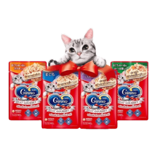 (ยกโหล) Ginno Cat Gourmet กินโนะ อาหารแมวแบบเปียก 60 g (โหล 12 ซอง)