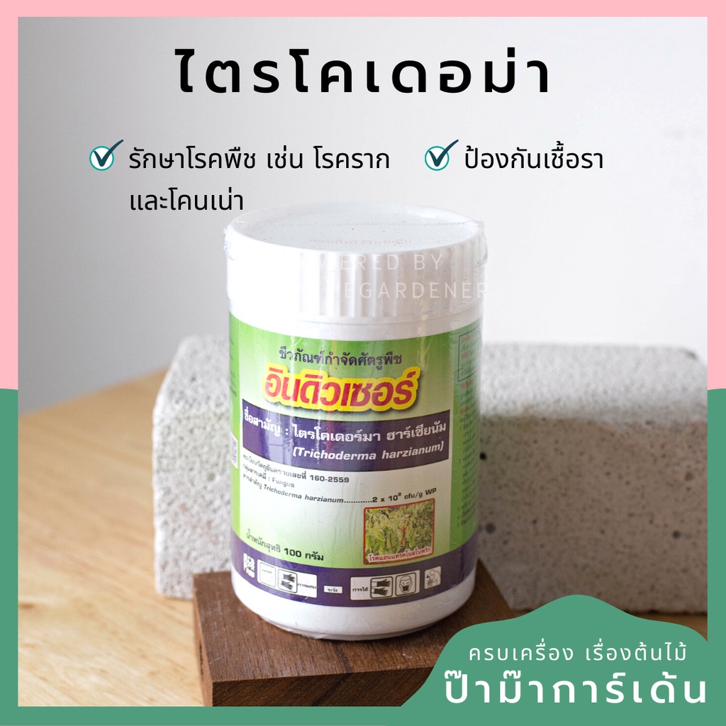 เชื้อราไตรโคเดอร์มา แบบผง บรรจุ 50 กรัม