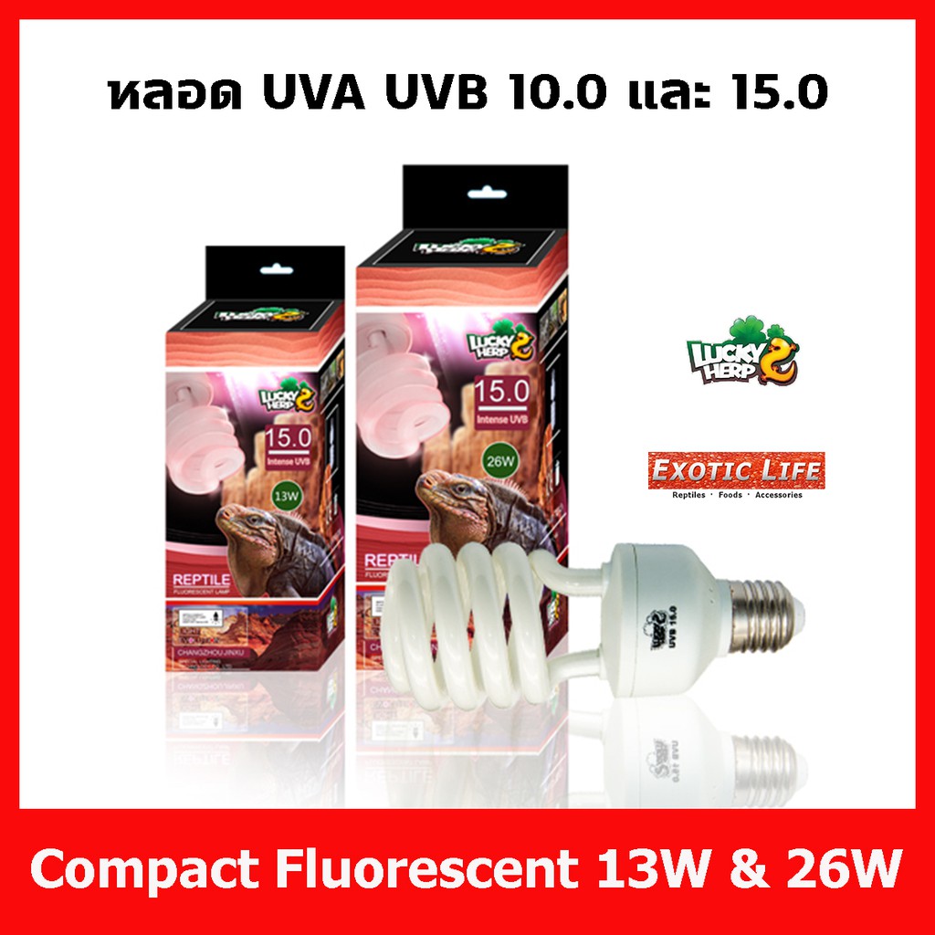 Lucky Herp หลอดไฟ UVA UVB 10.0 และ 15.0 สำหรับสัตว์ทุกชนิดที่ต้องการยูวีบี มีสองกำลังวัตต์ 13W และ 2