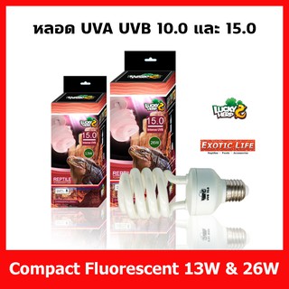 Lucky Herp หลอดไฟ UVA UVB 10.0 และ 15.0 สำหรับสัตว์ทุกชนิดที่ต้องการยูวีบี มีสองกำลังวัตต์ 13W และ 26W