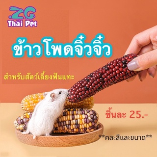 [ZC PET] ข้าวโพดจิ๋วจิ๋ว ลับฟัน สำหรับสัตว์เลี้ยงฟันแทะทุกชนิด **คละสีและขนาดนะคะ**