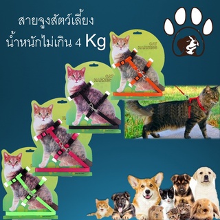 ส่งเร็วในไทย สายจูง รัดอก สายจูงแมว สายจูงหมา สัตว์เลี้ยงน้ำหนักไม่เกิน 4 Kg มี 5 สี ความยาว 120 cm   ปลอกคอ สายจูงสัตว์