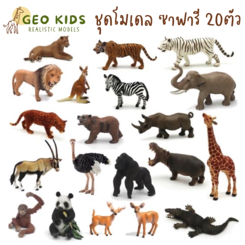 ❤️Geo Kids Model โมเดลสัตว์เสมือนจริง โมเดลสัตว์ซาฟารี สัตว์ป่า