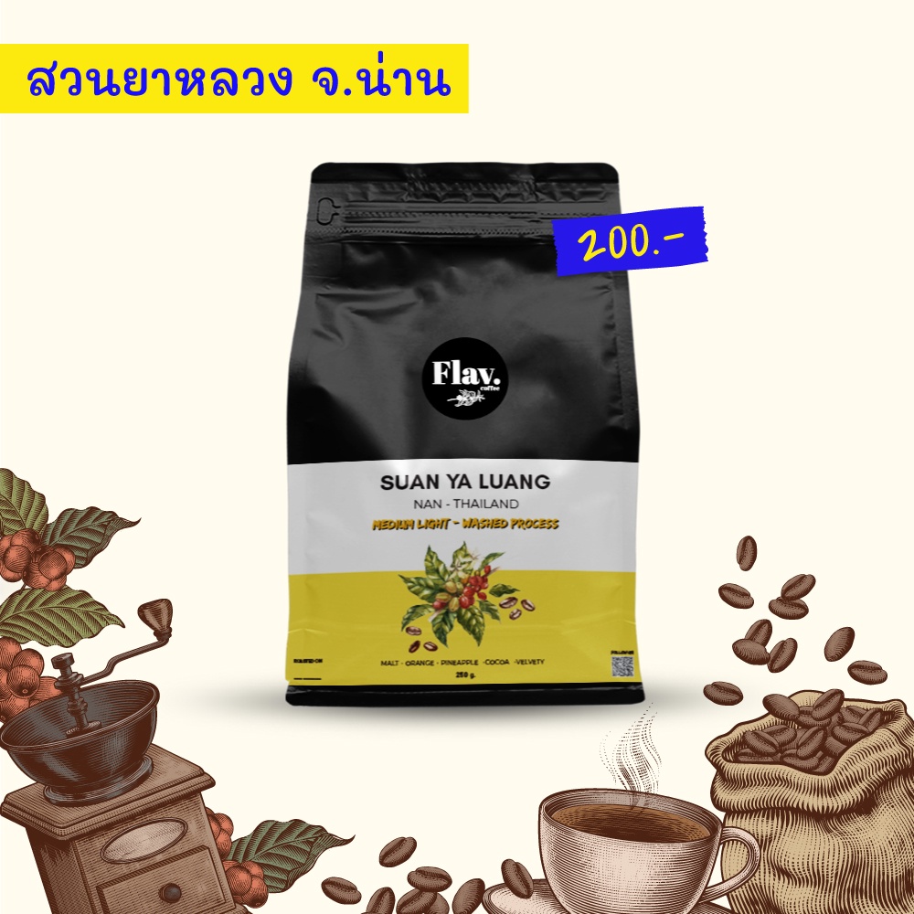 สวนยาหลวง จ.น่าน - คั่วกลางอ่อน ( Medium Light ) 250g. 📌 เมล็ดกาแฟคั่ว Single Origin