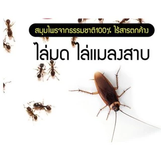 ไล่นก ไล่จิ้งจก ไล่หนู ไล่ค้างคาว 500 ml. (MG-500) ไล่มด แมลงสาบ แมงมุม ฯลฯ