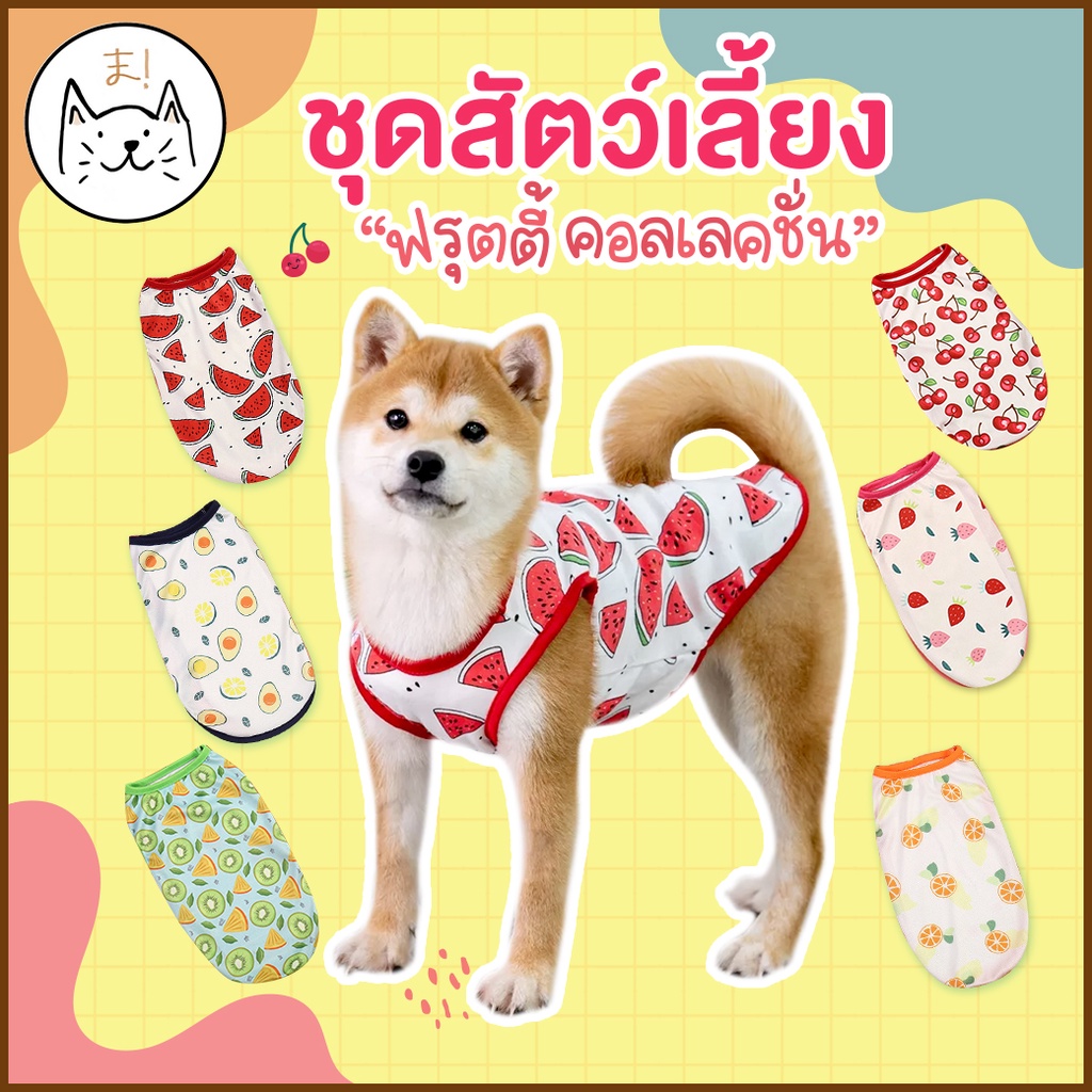 KUMAま “ฟรุตตี้ คอลเลคชั่น” ชุดสัตว์เลี้ยง XS-XXL เสื้อแมว สุนัข เสื้อสัตว์เลี้ยง ชุดหมา