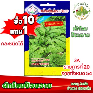 (ซื้อ10แถม1) เมล็ดพันธุ์ ผักโขม ป๊อบอาย Italian spinach ประมาณ 300เมล็ด 3A สามเอ ผักสวนครัว เมล็ดพันธุ์พืช เมล็ดผัก