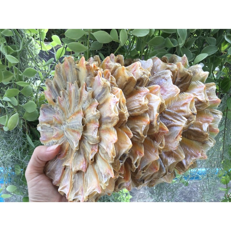 ☘️ปลากระดี่ ปลากระดี่ตากแห้ง 100% ( 1 วง )  ปลาแห้ง ปลาวง ปลาน้ำจืด ปลากระดี่วง - รูปที่ 4