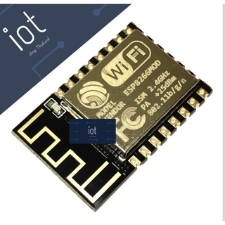 โมดูล Wi-Fi ESP8266 รุ่น ESP-12F