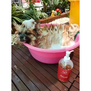 BubbleBear Shampoo แชมพูสุนัข และ แมว สูตร Hawaii Special Edition จากบับเบิ้ลแบร์ แชมพูทำจากออแกนนิค