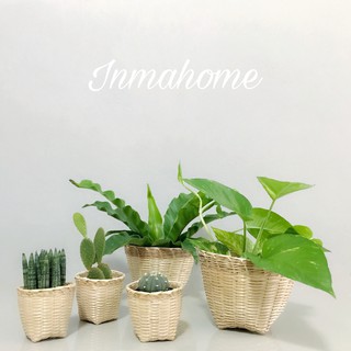 🌿 ตะกร้าสานละเอียด กระถางไม้ไผ่สาน ใส่ของ ใช้เป็นกระถางต้นไม้ / Woven Bamboo Basket