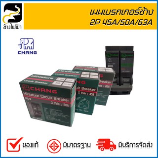 CHANG เมนเบรกเกอร์ ช้าง 2P 45A