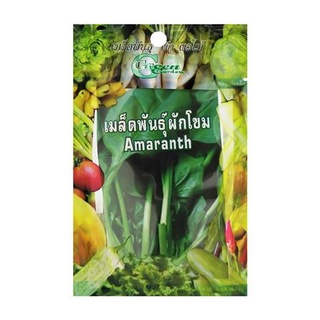 [พร้อมส่ง] HomeDoDee เมล็ดพันธุ์ผักโขม กรีน การ์เด้น เมล็ด เมล็ดพันธุ์ เมล็ดพันธุ์พืช