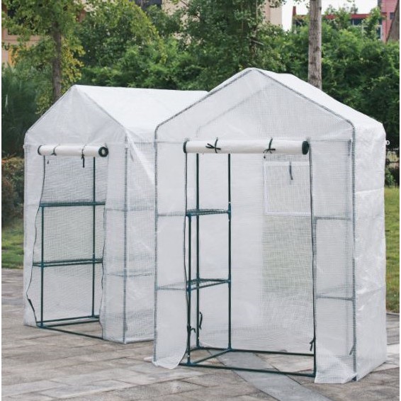 โรงเพาะ มีหน้าต่าง กระบองเพชร Greenhouse โรงเรือนเพาะปลูก เรือนเพาะต้นไม้ แคคตัส โรงเพาะสำเร็จรูป